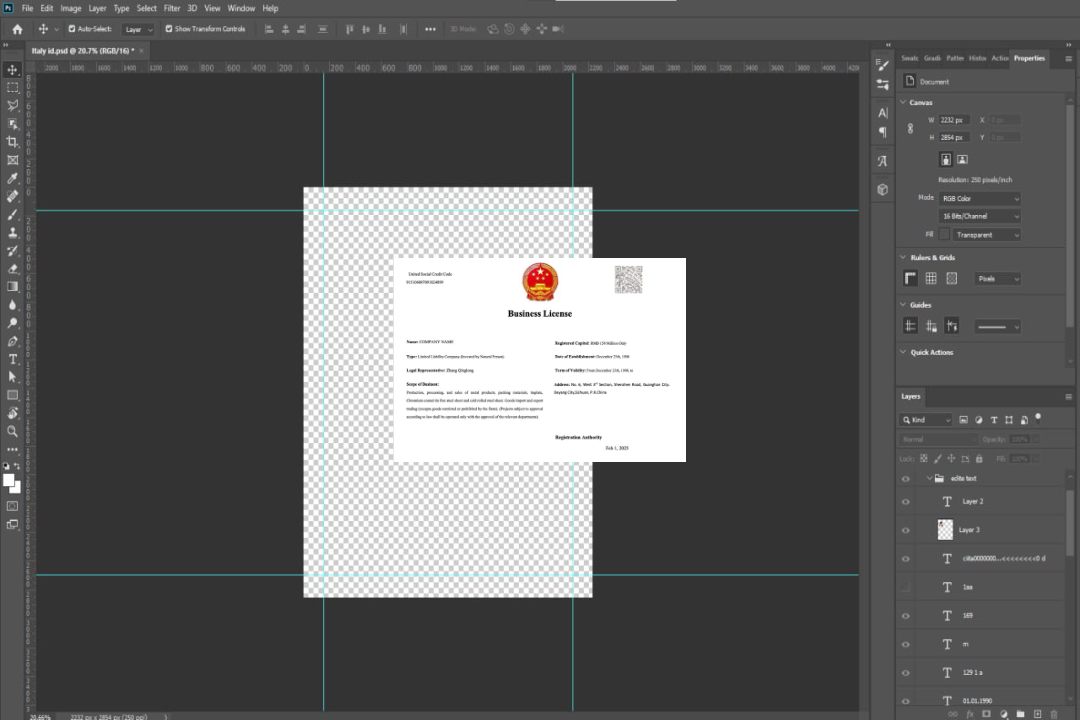 Modèle Word et PDF de licence commerciale en Chine template